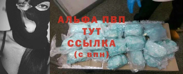прущие грибы Абаза