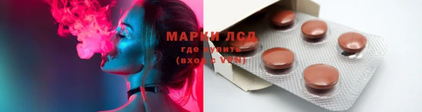 прущие грибы Абаза