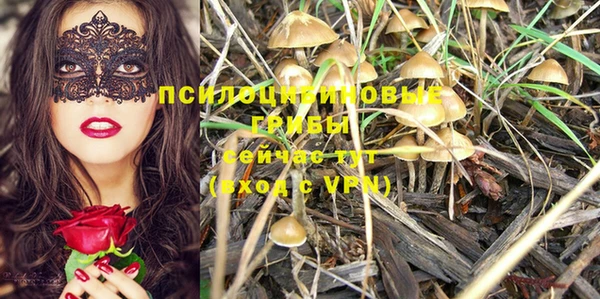 прущие крисы Абдулино
