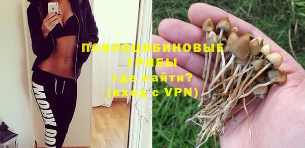 экстази Алексин