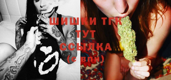 прущие грибы Абаза