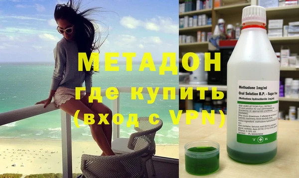 прущие грибы Абаза